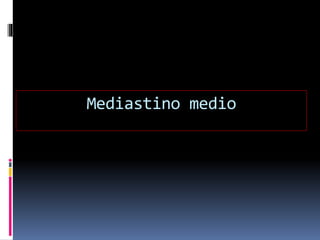 Mediastino medio
 