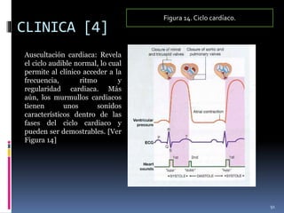 CLINICA [4]
Auscultación cardiaca: Revela
el ciclo audible normal, lo cual
permite al clínico acceder a la
frecuencia, ritmo y
regularidad cardiaca. Más
aún, los murmullos cardiacos
tienen unos sonidos
característicos dentro de las
fases del ciclo cardiaco y
pueden ser demostrables. [Ver
Figura 14]
91
Figura 14. Ciclo cardíaco.
 