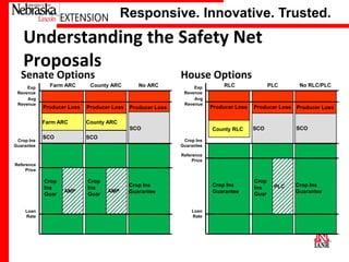 Responsive. Innovative. Trusted.

Understanding the Safety Net
Proposals

Senate Options

House Options

Farm ARC

County ARC

No ARC

Producer Loss

Producer Loss

Producer Loss

Farm ARC

Exp
Revenue
Avg
Revenue

PLC

No RLC/PLC

Producer Loss

Producer Loss

Producer Loss

County RLC

SCO

SCO

Crop Ins
Guarantee

SCO
Crop Ins
Guarantee

RLC

Crop
Ins
Guar

County ARC

Exp
Revenue
Avg
Revenue

SCO

SCO

Crop Ins
Guarantee
Reference
Price

Reference
Price

Crop
Ins
Guar

AMP

Crop
Ins
Guar

AMP

Crop Ins
Guarantee

Loan
Rate

University of Nebraska–Lincoln

Loan
Rate

PLC

Crop Ins
Guarantee

 