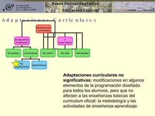 Adaptaciones Curriculares Adaptaciones curriculares no significativas:  modificaciones en algunos elementos de la programación diseñada para todos los alumnos, pero que no afectan a las enseñanzas básicas del curriculum oficial: la metodología y las actividades de enseñanza-aprendizaje. adaptaciones  curriculares los elementos  modificados a  quien afecta De centro De aula Individuales De acceso Curriculares No  significativas Significativas 