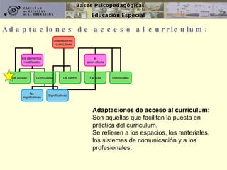 Adaptaciones de acceso al curriculum: Adaptaciones de acceso al curriculum:   Son aquellas que facilitan la puesta en práctica del curriculum.  Se refieren a los espacios, los materiales, los sistemas de comunicación y a los profesionales. adaptaciones  curriculares los elementos  modificados a  quien afecta De centro De aula Individuales De acceso Curriculares No  significativas Significativas 