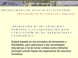 Adaptaciones de acceso al curriculum: Adaptación de los elementos humanos y su organización para el desarrollo de las adaptaciones curriculares.  Estará basada en los principios de dinamismo y flexibilidad, para adecuarse a las necesidades educativas y ha de tomar a éstas como referente principal cuando hayan de organizarse los recursos humanos. Adecuación de los elementos humanos 