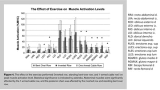 RRA: recto abdominal d.
LRA: recto abdominal iz.
REO: oblicuo externo d
LEO: oblicuo externo iz.
RIO: oblicuo interno d.
LIO: oblicuo interno iz.
RLD: dorsal derecho
LLD: dorsal izquierdo
RUES: erectores esp. sup
LUES: erectores esp. sup
RLES: erectores esp lum
LLES: erectores esp lum
RGMED: gluteo medio d
RGMAX: gluteo mayor d
RBF: biceps femoral d
RRF: recto femoral d
 