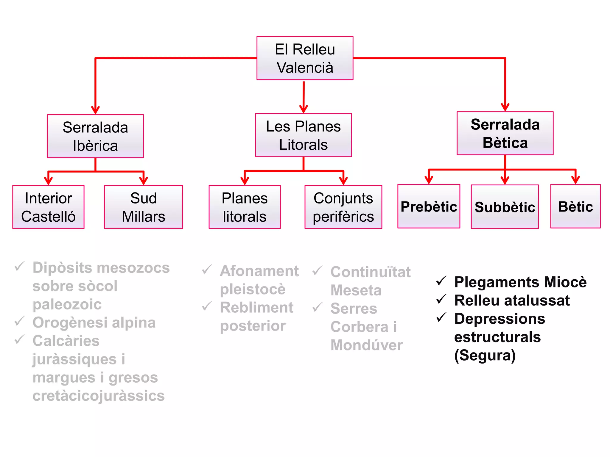 El Relleu
Valencià
Serralada
Bètica
Les Planes
Litorals
Serralada
Ibèrica
 Afonament
pleistocè
 Rebliment
posterior
Interior
Castelló
Sud
Millars
 Dipòsits mesozocs
sobre sòcol
paleozoic
 Orogènesi alpina
 Calcàries
juràssiques i
margues i gresos
cretàcicojuràssics
Planes
litorals
Conjunts
perifèrics
 Continuïtat
Meseta
 Serres
Corbera i
Mondúver
Prebètic Subbètic Bètic
 Plegaments Miocè
 Relleu atalussat
 Depressions
estructurals
(Segura)
 