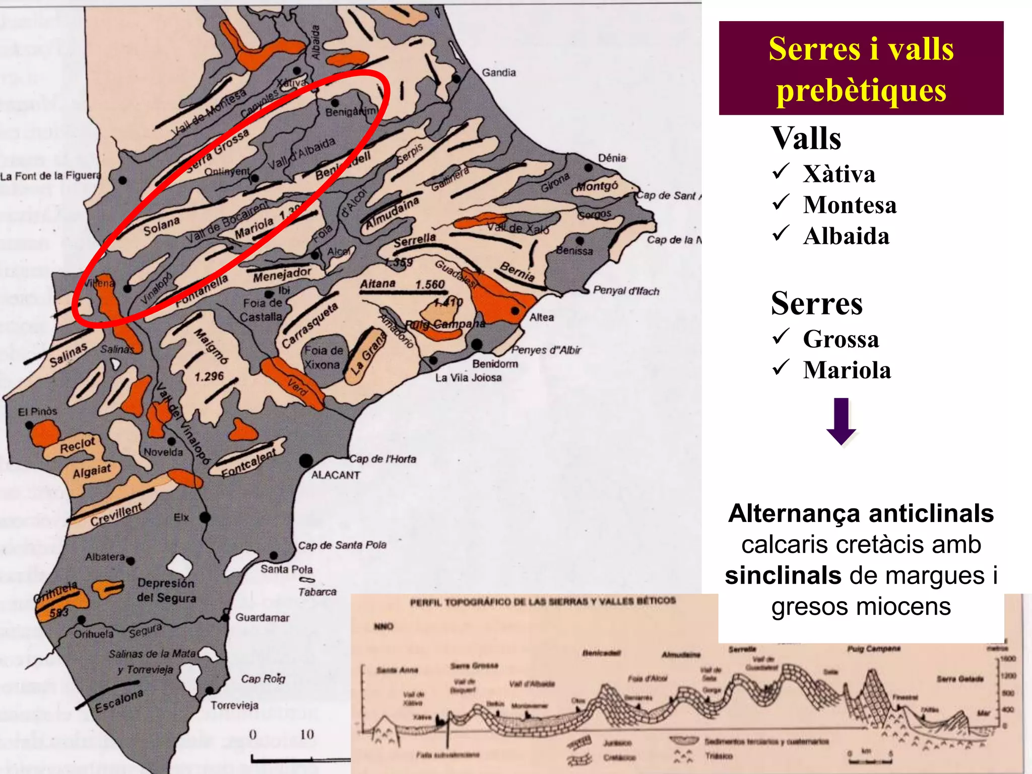 Serres i valls
prebètiques
Valls
 Xàtiva
 Montesa
 Albaida
Serres
 Grossa
 Mariola
Alternança anticlinals
calcaris cretàcis amb
sinclinals de margues i
gresos miocens
 