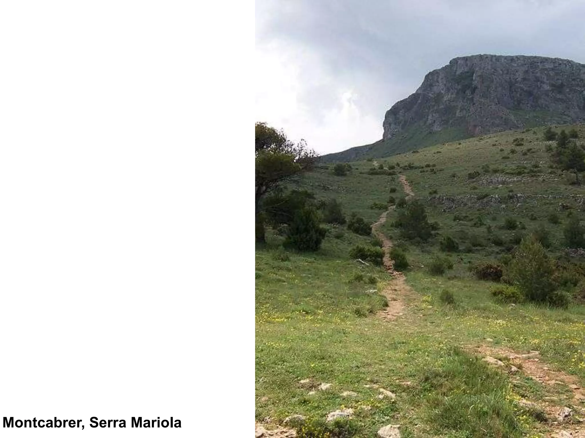 Montcabrer, Serra Mariola
 