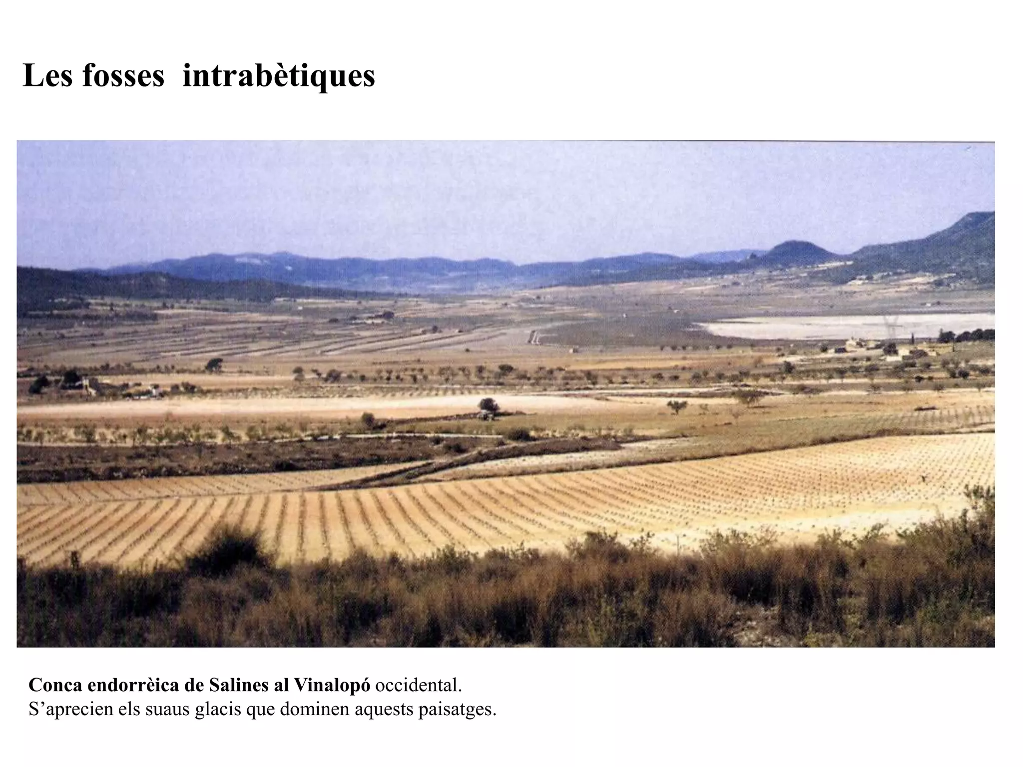 Conca endorrèica de Salines al Vinalopó occidental.
S’aprecien els suaus glacis que dominen aquests paisatges.
Les fosses intrabètiques
 