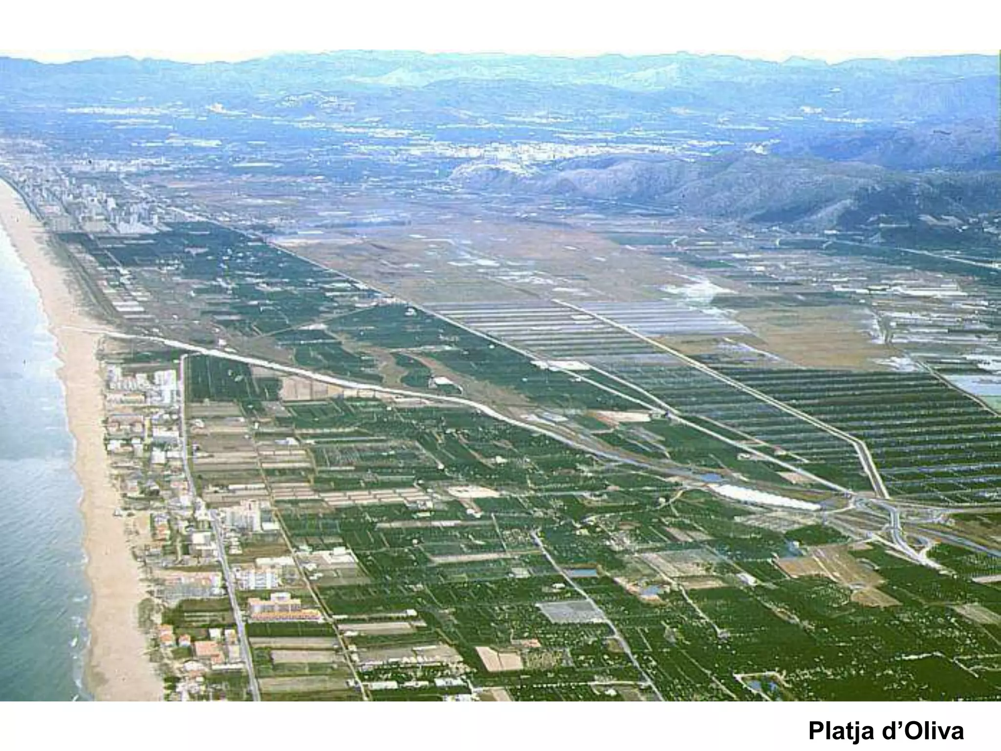 Platja d’Oliva
 