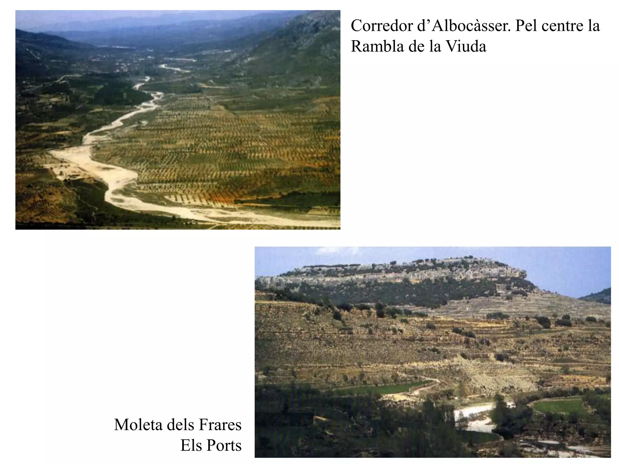 Corredor d’Albocàsser. Pel centre la
Rambla de la Viuda
Moleta dels Frares
Els Ports
 