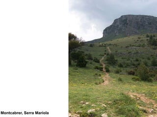 Montcabrer, Serra Mariola
 