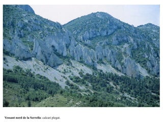 Vessant nord de la Serrella: calcari plegat.
 