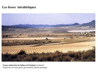 Les fosses intrabètiques




Conca endorrèica de Salines al Vinalopó occidental.
S’aprecien els suaus glacis que dominen aquests paisatges.
 