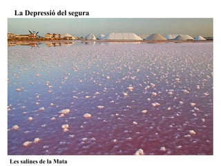La Depressió del segura




Les salines de la Mata
 