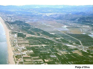 Platja d’Oliva
 