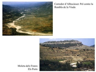 Corredor d’Albocàsser. Pel centre la
                     Rambla de la Viuda




Moleta dels Frares
         Els Ports
 