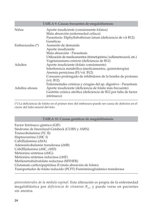 24
pósterolaterales de la médula espinal. Esta alteración es propia de la enfermedad
megaloblástica por deficiencia de vitamina B12
, y puede verse en pacientes
sin anemia.
TABLA 9. Causas frecuentes de megaloblastosis
Niños	 Aporte insuficiente (comúnmente folatos)
	 Mala absorción (enfermedad celíaca)
	 Parasitosis: Diphyllobothrium latum (deficiencia de vit B12).
	Genéticas
Embarazadas (*)	 Aumento de demanda
	 Aporte insuficiente
	 Mala absorción - Parasitosis
	 Utilización de medicamentos (trimetoprima/sulfametoxazol, etc.)
	 Vegetarianismo estricto (deficiencia de B12)
Adultos	 Aporte insuficiente (folato comúnmente)
	 Interferencia metabólica (medicamentos, quimioterapia)
	 Anemia perniciosa (FI/vit. B12)
	 Consumo prolongado de inhibidores de la bomba de protones
	 (vit. B12)
	 Enfermedades crónicas y cirugías del ap. digestivo - Parasitosis
Adultos añosos	 Aporte insuficiente (deficiencia de folato más frecuente)
	 Gastritis crónica atrófica (deficiencia de B12 por falta de factor
	intrínseco)
(*) La deficiencia de folato en el primer mes del embarazo puede ser causa de defectos en el
cierre del tubo neural del feto.
TABLA 10. Causas genéticas de megaloblastosis
Factor Intrínseco gástrico (GIF)
Síndrome de Imerslund-Gräsbeck (CUBN y AMN)
Transcobalamina (TC II)
Haptocrorrina I (HC I)
Cob(II)alamina (cblA)
Adenosilcobalamin transferasa (cblB)
Cob(III)alamina (cblC, cblD)
Metionina sintetasa (cblG)
Metionina sintetasa reductasa (cblE)
Metilenetrahidrofolato reductasa (MTHFR)
Glutamato carboxipeptidasa II (mala absorción de folato)
Transportador de folato reducido (PCFT) Formiminoglutámico transferasa
 