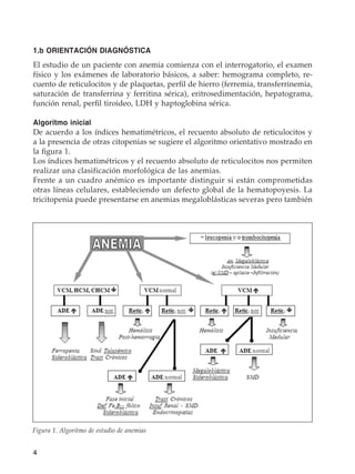 4
1.b ORIENTACIÓN DIAGNÓSTICA
El estudio de un paciente con anemia comienza con el interrogatorio, el examen
físico y los exámenes de laboratorio básicos, a saber: hemograma completo, re-
cuento de reticulocitos y de plaquetas, perfil de hierro (ferremia, transferrinemia,
saturación de transferrina y ferritina sérica), eritrosedimentación, hepatograma,
función renal, perfil tiroideo, LDH y haptoglobina sérica.
Algoritmo inicial
De acuerdo a los índices hematimétricos, el recuento absoluto de reticulocitos y
a la presencia de otras citopenias se sugiere el algoritmo orientativo mostrado en
la figura 1.
Los índices hematimétricos y el recuento absoluto de reticulocitos nos permiten
realizar una clasificación morfológica de las anemias.
Frente a un cuadro anémico es importante distinguir si están comprometidas
otras líneas celulares, estableciendo un defecto global de la hematopoyesis. La
tricitopenia puede presentarse en anemias megaloblásticas severas pero también
Figura 1. Algoritmo de estudio de anemias
 