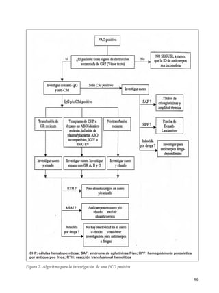 59
Figura 7. Algoritmo para la investigación de una PCD positiva
CHP: células hematopoyéticas; SAF: síndrome de aglutininas frías; HPF: hemoglobinuria paroxística
por anticuerpos fríos; RTH: reacción transfusional hemolítica
 