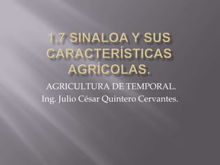 1.7 SINALOA Y SUS CARACTERÍSTICAS AGRÍCOLAS. AGRICULTURA DE TEMPORAL. Ing. Julio César Quintero Cervantes. 