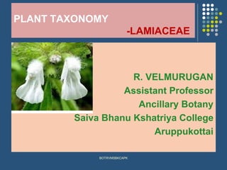 PLANT TAXONOMY
-LAMIACEAE
R. VELMURUGAN
Assistant Professor
Ancillary Botany
Saiva Bhanu Kshatriya College
Aruppukottai
BOTRVMSBKCAPK
 
