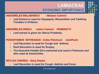 LAMIACEAE
ECONOMIC IMPORTANCE
ANISOMELES MALABARICA - Malabar Catmint
⚫ Leaf Extract is used for Dyspepsia, Rheumatism and Teething
Troubles in Children.
ANISOMELES INDICA -Indian Catmint -PEIMIRATTI
⚫ Leaf extract is given for Uterus Problems.
POGOSTEMON HEYNEANUS -Indian Patchouli -katirPachi
⚫ Leaf Decoction is used for Cough and Asthma.
⚫ Root Decoction is used for Dropsy.
⚫ The Essential Volatile Oil is extracted and used in Perfumes and
also used as Insecticides.
ROYLEA CINEREA -Ashy Roylea
⚫ Leaf Decoction is used for Cough, Asthma and Fever.
.
BOTRVMSBKCAPK
 