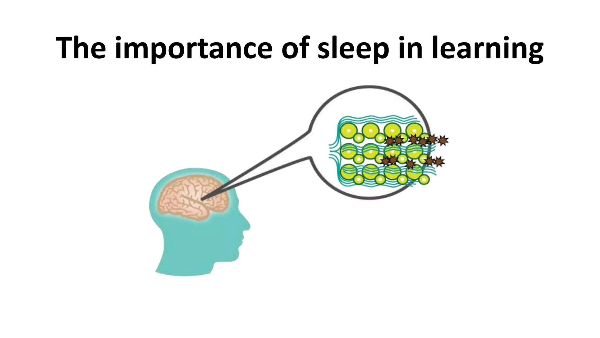 1 7 The Importance Of Sleep In Learning Pptx