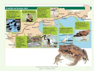 9ο Δθμοτικό Σχολείο Ρτολεμαΐδασ
                                  7
    Τάξθ Δϋ1 Ηλιάδθσ Ηλίασ
 