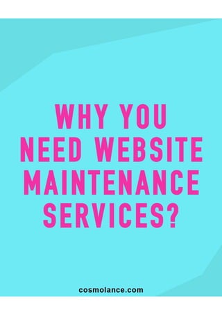 Why you Need Website Maintenance Services?