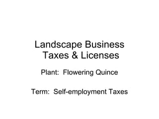 Landscape Business  Taxes & Licenses Plant:  Flowering Quince Term:  Self-employment Taxes 