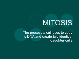 MITOSIS The process a cell uses to copy its DNA and create two identical daughter cells 