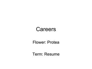 Careers Flower: Protea Term: Resume 