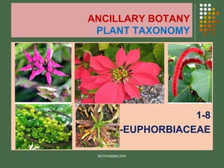 ANCILLARY BOTANY
PLANT TAXONOMY
1-8
-EUPHORBIACEAE
BOTRVMSBKCAPK
 