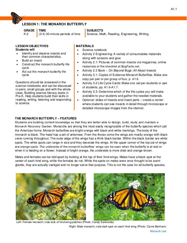 monarch notes online