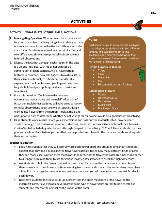 monarch notes online