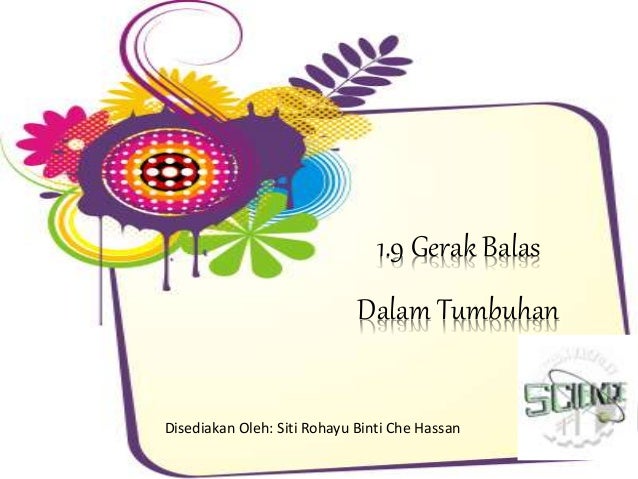 1 9 Gerak Balas Dalam Tumbuhan