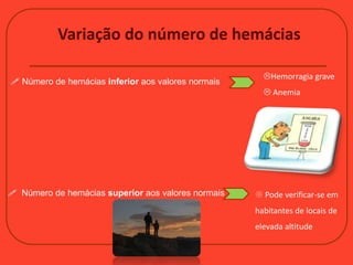Variação do número de hemácias
 Número de hemácias inferior aos valores normais
Hemorragia grave
 Anemia
 Número de hemácias superior aos valores normais  Pode verificar-se em
habitantes de locais de
elevada altitude
 