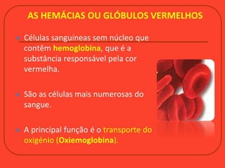 AS HEMÁCIAS OU GLÓBULOS VERMELHOS
 Células sanguíneas sem núcleo que
contêm hemoglobina, que é a
substância responsável pela cor
vermelha.
 São as células mais numerosas do
sangue.
 A principal função é o transporte do
oxigénio (Oxiemoglobina).
 