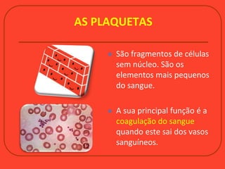 AS PLAQUETAS
 São fragmentos de células
sem núcleo. São os
elementos mais pequenos
do sangue.
 A sua principal função é a
coagulação do sangue
quando este sai dos vasos
sanguíneos.
 