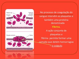 No processo de coagulação do
sangue intervêm as plaquetas e
também uma proteína
denominada
Fibrina.
A ação conjunta de
plaquetas e
fibrina permite formar uma
camada que detém hemorragias
– o coágulo.
 