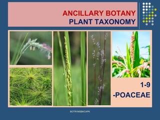 ANCILLARY BOTANY
PLANT TAXONOMY
1-9
-POACEAE
BOTRVMSBKCAPK
 