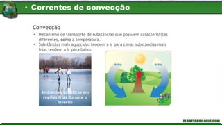 • Mecanismo de transporte de substâncias que possuem características
diferentes, como a temperatura.
• Substâncias mais aquecidas tendem a ir para cima; substâncias mais
frias tendem a ir para baixo.
Ambientes aquáticos em
regiões frias durante o
inverno
Convecção
• Correntes de convecção
 