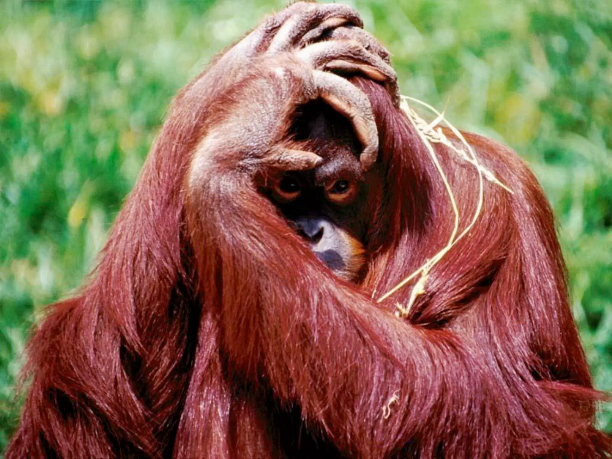 1   A Social Media Checklist