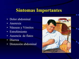 Síntomas Importantes  Dolor abdominal Anorexia Náuseas y Vómitos Estreñimiento Ausencia  de flatos Diarrea Distensión abdominal 