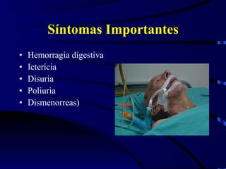 Síntomas Importantes Hemorragia digestiva Ictericia Disuria Poliuria Dismenorreas) 