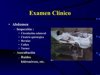 Examen Clínico Abdomen Inspección : Circulación colateral Cicatriz quirúrgica  Hernias  Cullen Turner Auscultación .  Ruidos  hidroaéreos, etc. 