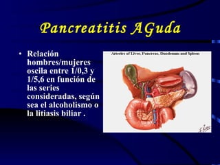Pancreatitis AGuda R elación hombres/mujeres oscila entre 1/0,3 y 1/5,6 en función de las series consideradas, según sea el alcoholismo o la litiasis biliar  . 