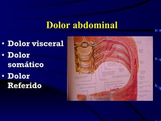 Dolor abdominal <ul><li>Dolor visceral </li></ul><ul><li>Dolor somático  </li></ul><ul><li>Dolor Referido </li></ul>