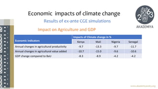 Economic impacts of climate change
Results of ex-ante CGE simulations
www.akademiya2063.org
Impact on Agriculture and GDP
Economic indicators
Impacts of Climate change in %
Kenya Mali Nigeria Senegal
Annual changes in agricultural productivity -9.7 -13.3 -9.7 -11.7
Annual changes in agricultural value added -10.7 -15.0 -9.6 -10.6
GDP change compared to BaU -8.3 -8.9 -4.2 -4.2
 