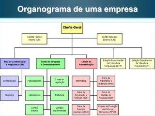 Organograma de uma empresa
 
