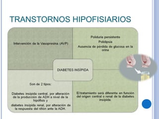TRANSTORNOS HIPOFISIARIOS 